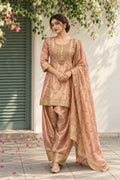 Pink with brocade fabric Floral Embroidered Regular Sequinned Tissue Kurta with Salwar & Dupatta
